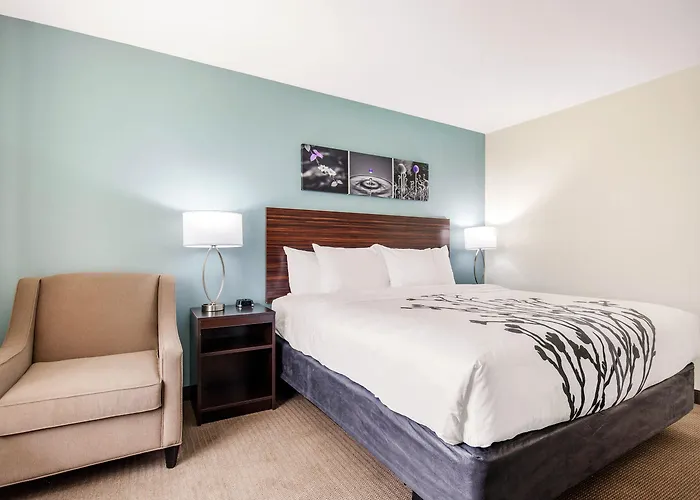 Hotel Sleep & 5*